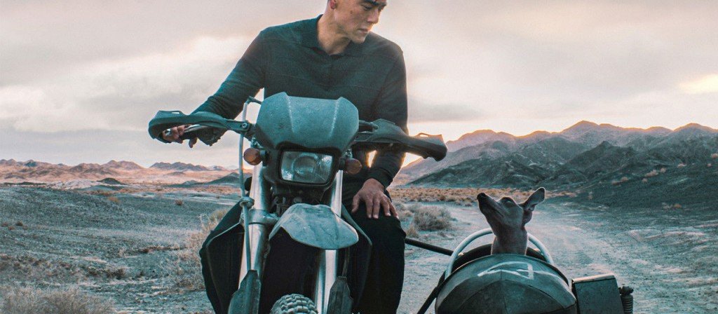 actualité black dog