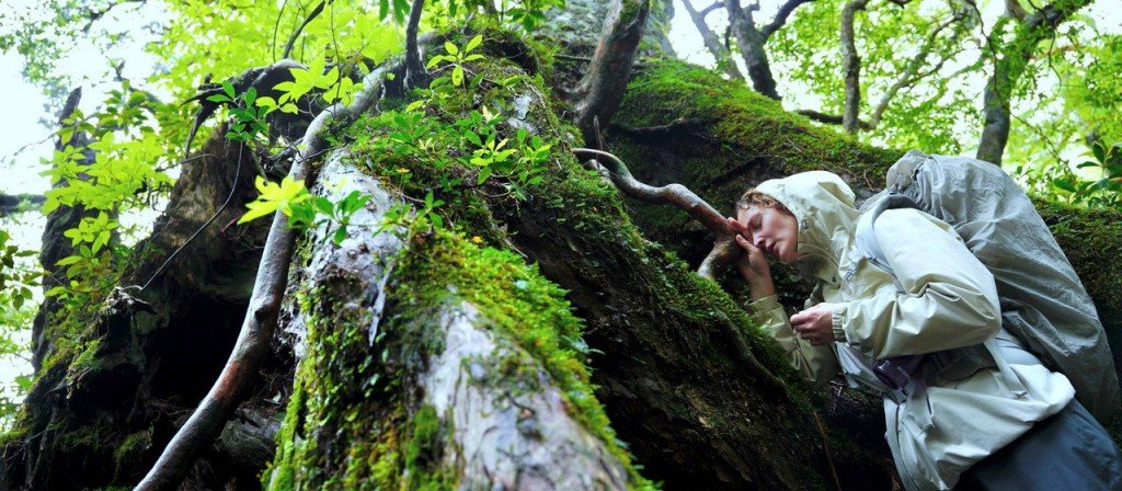 actualité yakushima