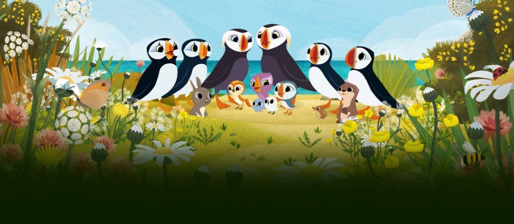 actualité puffin